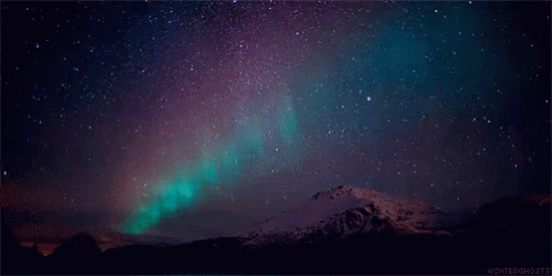 the green and purple lights of an aurora bore shine brightly over snow covered mountains