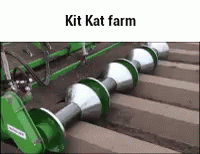 a book that says kitkat farm on it
