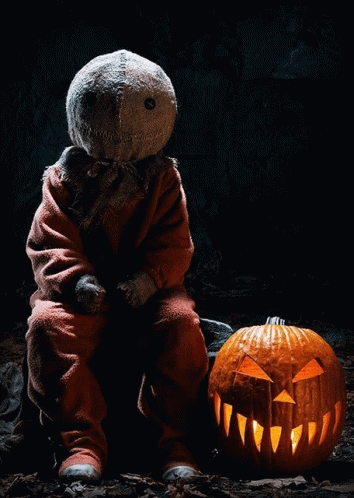 a dark colored teddy bear sitting with two carved pumpkins
