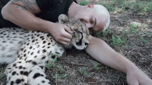 a man laying down holding onto a little cheetah
