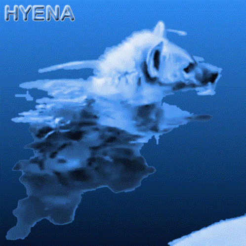 a dog with a reflection on water with words above it