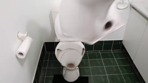 a black toilet has its lid up and is next to the toilet paper