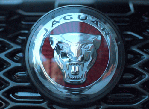 jaguar emblem is on the grille of a car