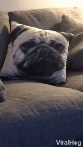 a dog's face is pictured on a pillow on a sofa