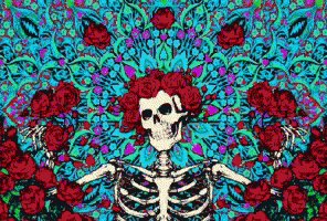 a colorful skeleton on an abstract floral design