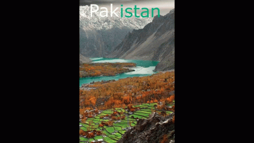 the book cover shows a landscape with many trees and mountains