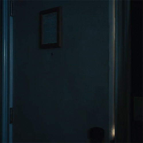 the door is open in a dimly lit house