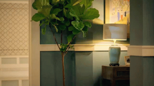 a green potted plant with a light behind it