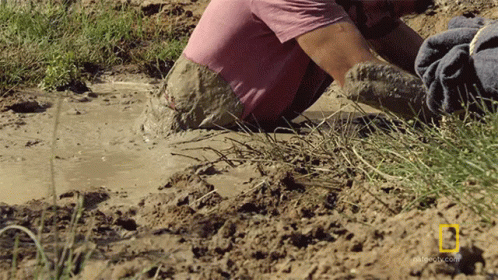 a person digging in the ground and holding a baby