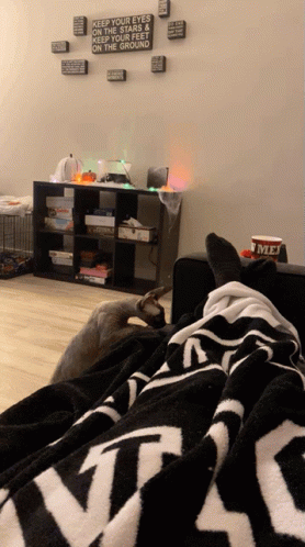 two dogs sleeping on the floor covered in blankets