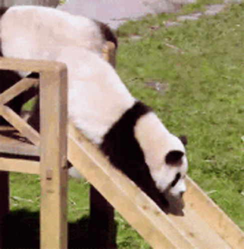 a panda bear climbing over a wooden bench
