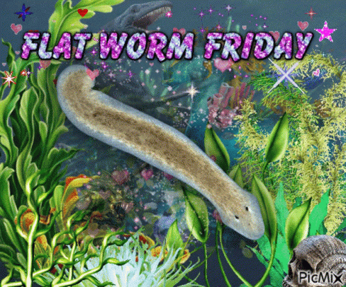 an artwork titled flat worm friday