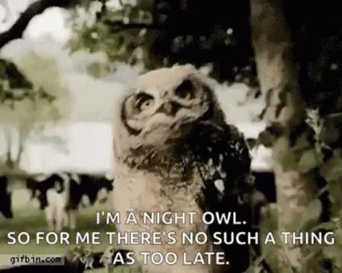 an owl in a tree with a quote from stephen kress