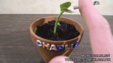 a cartoon image of a plant sprout out of a pot