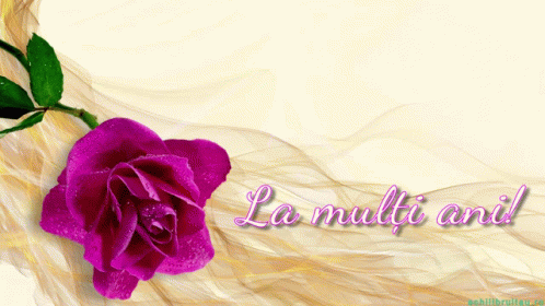 a purple rose on a blue background with words that say, la multi and d