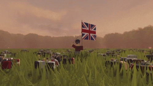 a person standing in the middle of a field holding an union flag
