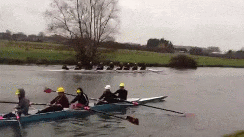 a bunch of people rowing on top of a lake