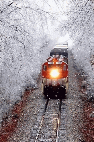 train on railroad tracks through snowy trees