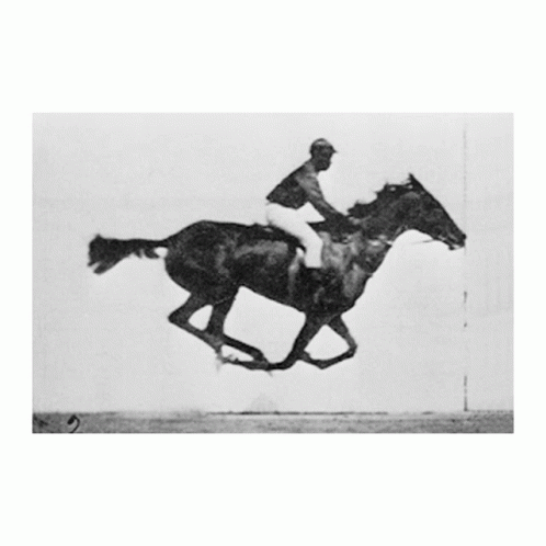 black and white pograph of a jockey on a horse