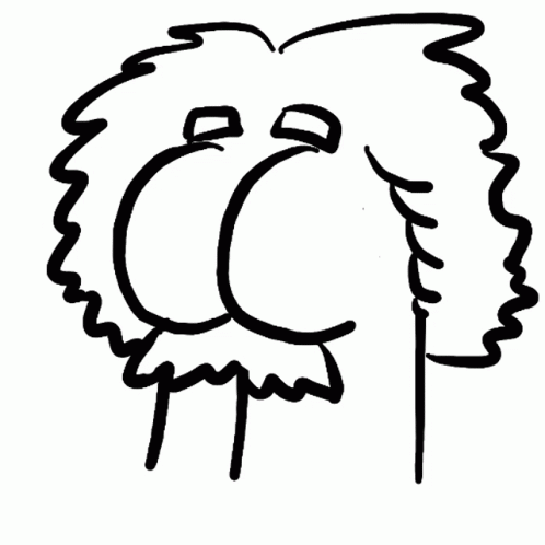 the outline of a cartoon lion face, it is black and white