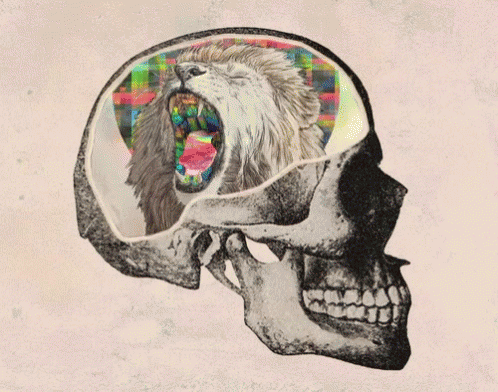 an illustration of a skull holding up soing to the other side of its face