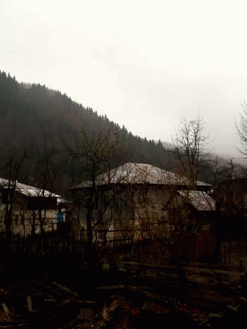 an abandoned house in the woods with the mountains in the background