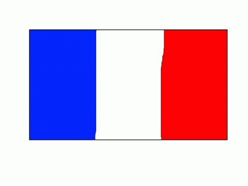 the flag of france is in three separate colors