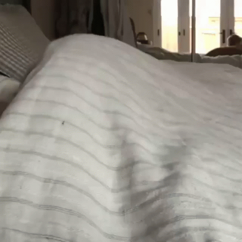 the person is waking on the bed that has a white blanket