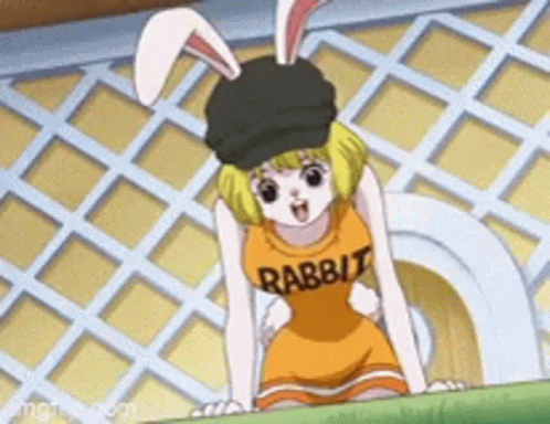 the animated female rabbit is standing near a net