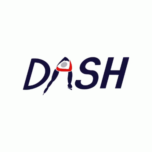 dash is an award winning product