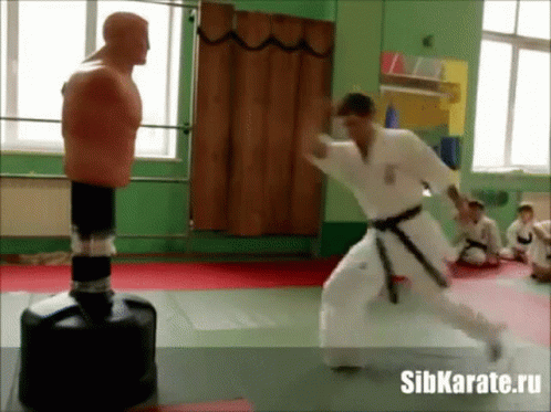 an image of man doing karate in the gym
