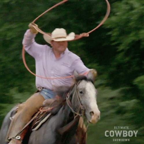 a man riding a horse with a lasso on it