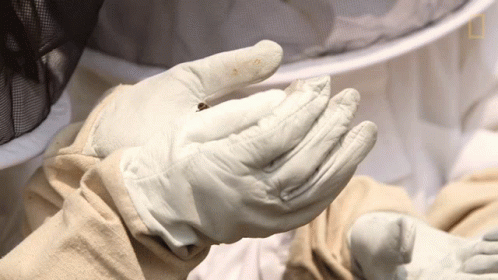 a person with white gloves on touching their hands