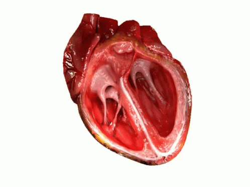 a 3d image of a heart on a white background