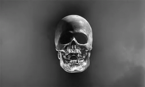 an image of a skull that appears to be in the air