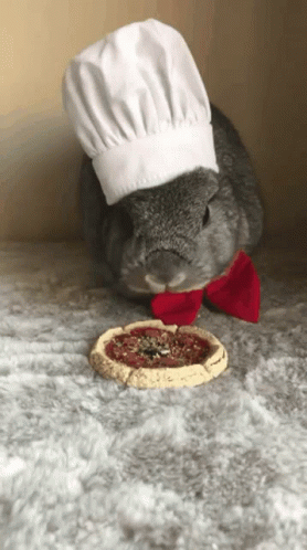 a very cute rabbit wearing a chef hat