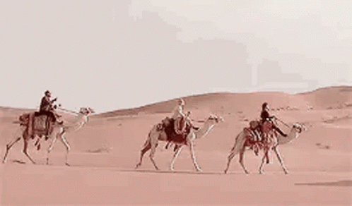 some people are riding horses through the desert