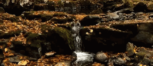 a waterfall cascades into a pool of water in an underground crater