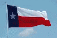 a texas flag and an american flag with the same color scheme