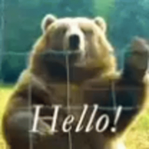 an altered image of a large blue bear holding a sign that reads hello