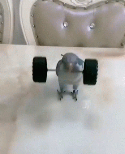 an image of a bird with wheels on it