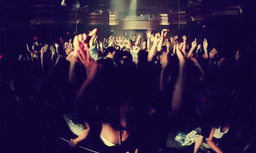a crowd of people with arms up at a concert
