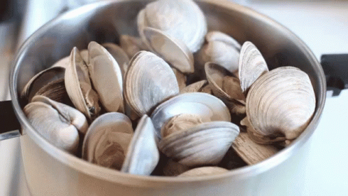 a bucket of clams sitting on top of a stove