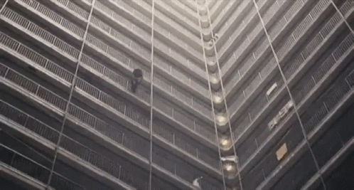 a bird is walking down the side of a tall building