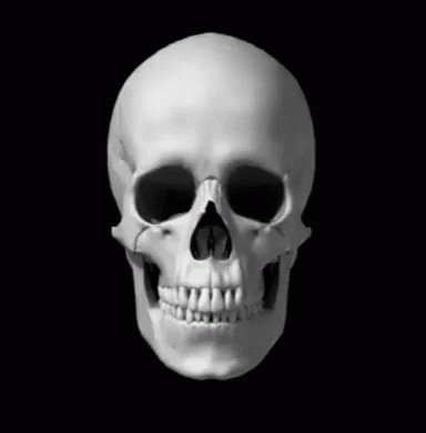 a 3d illustration of a human skull with lower jaw