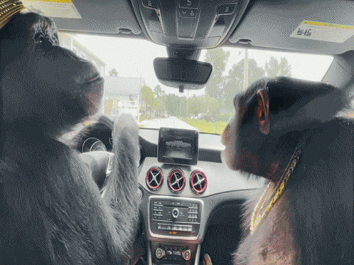 two monkeys that are sitting in the back seat of a car