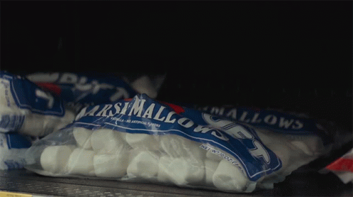 two bags of marshmallows sitting in an oven