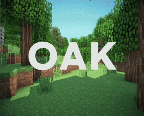 the title for a minecraft video game oak