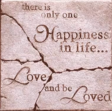 there is only one happiness in life love and be loved