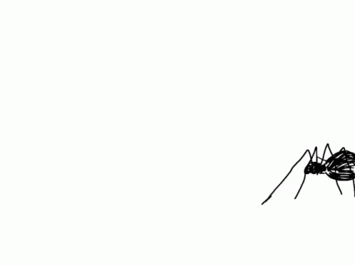 an ant in mid air on a white background